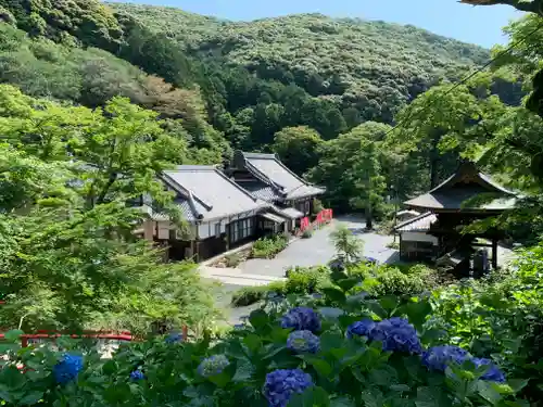 普門寺(切り絵御朱印発祥の寺)の景色