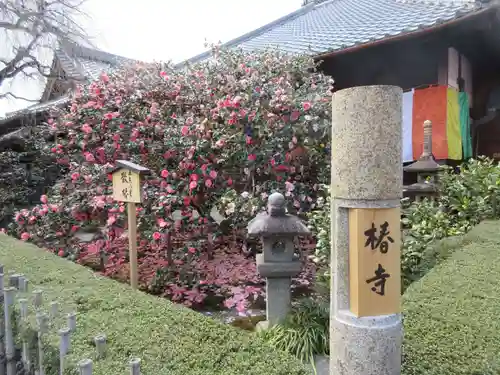 地蔵院（椿寺）のその他建物