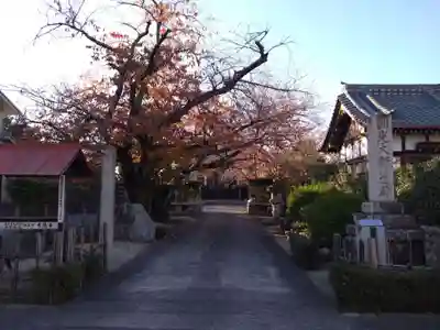 光徳寺(三重県)