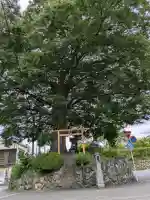 山神宮(埼玉県)