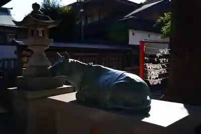 町田天満宮の狛犬