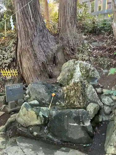 諏訪神社(茨城県)