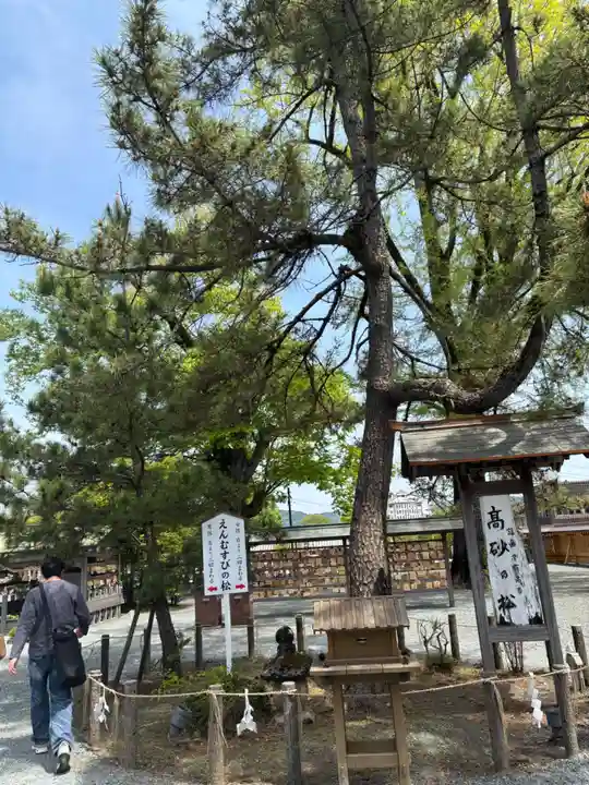 阿蘇神社(熊本県)