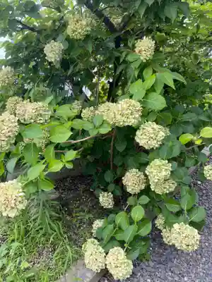 神前神社(愛知県)