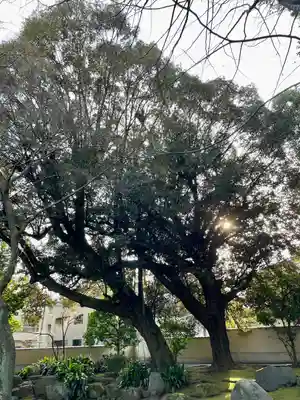 長仙寺(東京都)