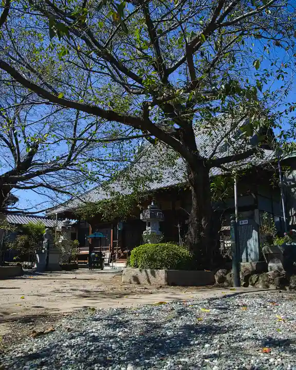 退魔寺(厄除茂呂不動尊)(群馬県)