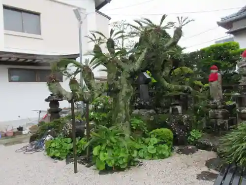 津照寺(高知県)