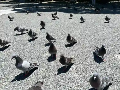 開口神社(大阪府)