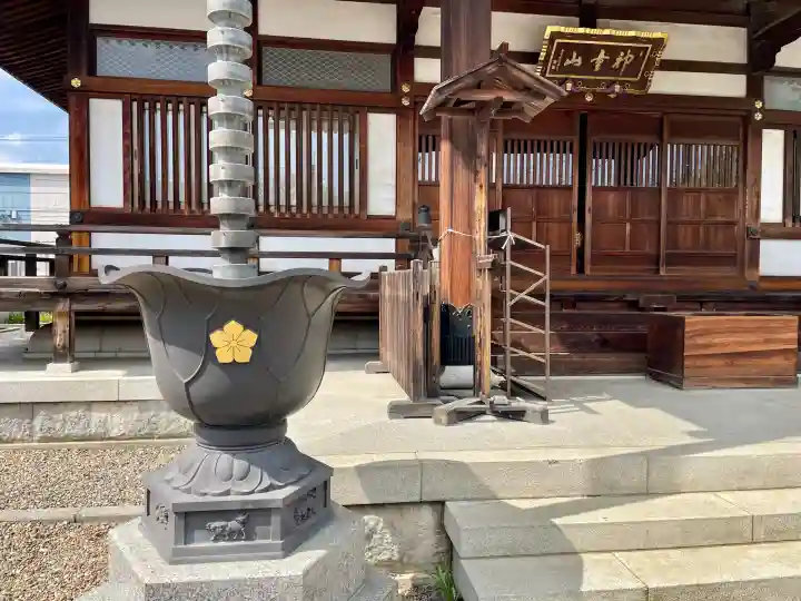 薬王院の{uncategorized: "未分類", other: "その他", undefined: "問題あり", building: "その他建物", grave: "お墓", sacred_gate: "鳥居", guardian: "狛犬", statue: "像", buddha: "仏像", history: "歴史", nature: "自然", garden: "庭園", animal: "動物", pagoda: "塔", temizu: "手水舎", mountain_gate: "山門・神門", sanctuary: "本殿・本堂", subordinate: "末社・摂社", art: "芸術", scenery: "景色", jizo: "地蔵", ema: "絵馬", goshuin: "御朱印", omikuji: "おみくじ", items: "授与品その他", amulet: "お守り", goshuincho: "御朱印帳", eats: "食事", festival: "お祭り", votive_dance: "神楽", shichigosan: "七五三参", wedding: "結婚式", experience: "体験その他", initially: "初詣", around: "周辺", anti_infection: "感染症対策"}