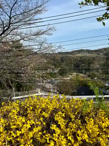 祠(神奈川県)