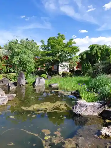 蓮華王院（三十三間堂）(京都府)