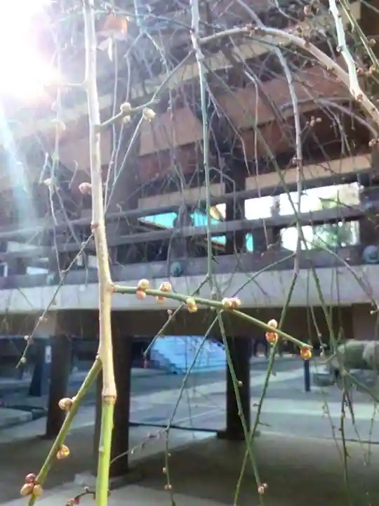 妙法寺(東京都)