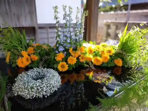 唐崎神社(滋賀県)