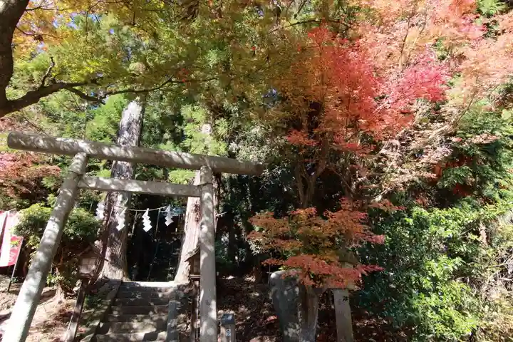 鹿島大神宮の鳥居