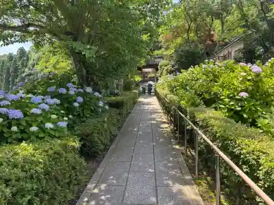 本興寺(石川県)