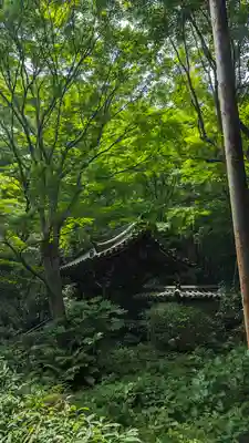 来迎院(京都府)