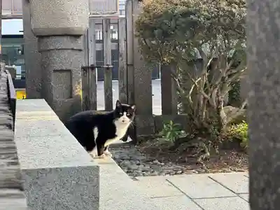 伊勢神社(岡山県)
