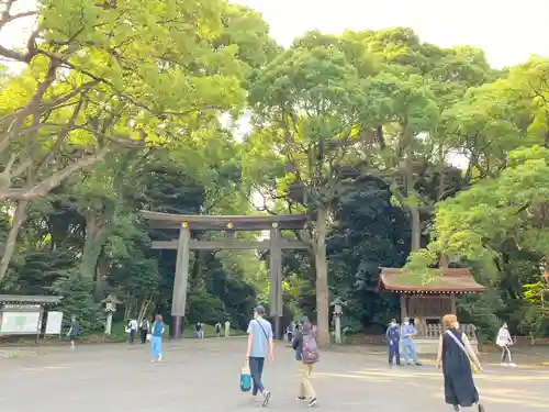 明治神宮の鳥居
