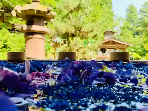 土津神社｜こどもと出世の神さまの手水