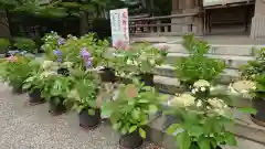 坐摩神社(大阪府)