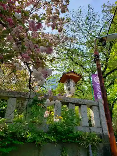 芝東照宮の自然