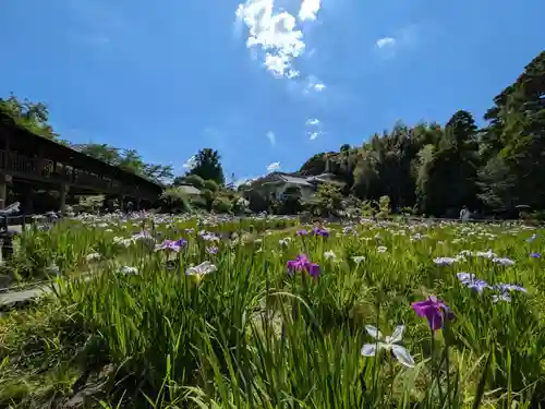 本土寺の庭園