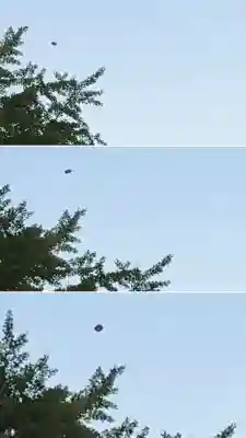 函館八幡宮(北海道)