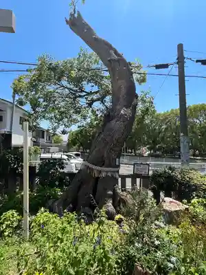 水堂須佐男神社(兵庫県)