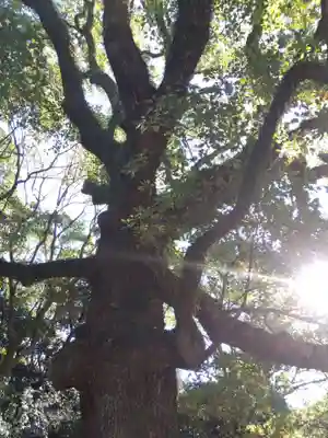 八剣宮（熱田神宮別宮）(愛知県)