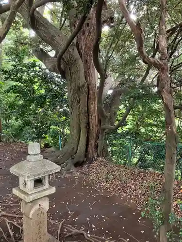 山の神神社の自然