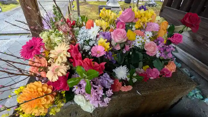 勝林寺(京都府)