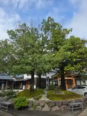 御誕生寺（猫寺）(福井県)