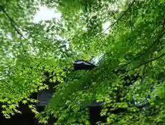 滑川神社 - 仕事と子どもの守り神の自然