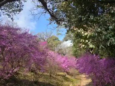 伊和志豆神社(兵庫県)