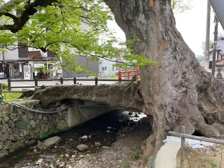 柏原大神宮(兵庫県)