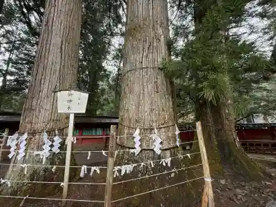 日光二荒山神社(栃木県)