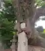 八剣神社(福岡県)