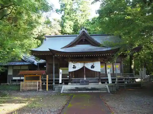 秦神社の本殿