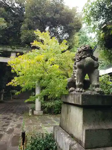 赤坂氷川神社の狛犬