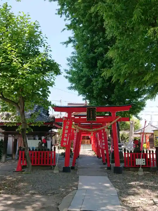 於菊稲荷神社の鳥居