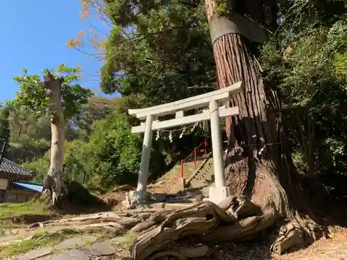 十二所神社の鳥居