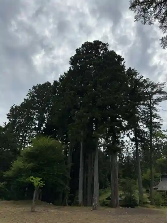 胎内神社(静岡県)