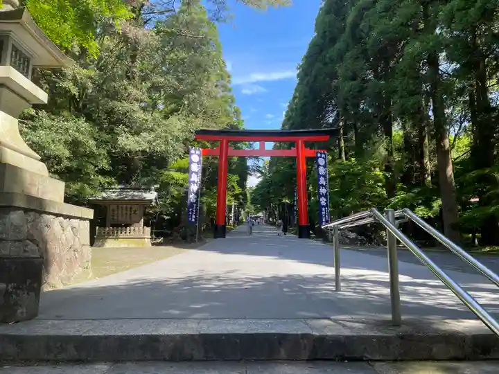 霧島神宮(鹿児島県)