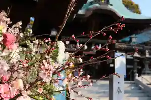 三津厳島神社(愛媛県)(2023年03月03日(金) 15時46分36秒投稿)