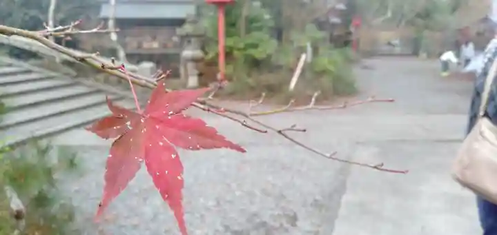 鍬山神社の自然