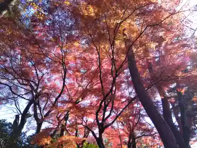 妙法寺(福井県)