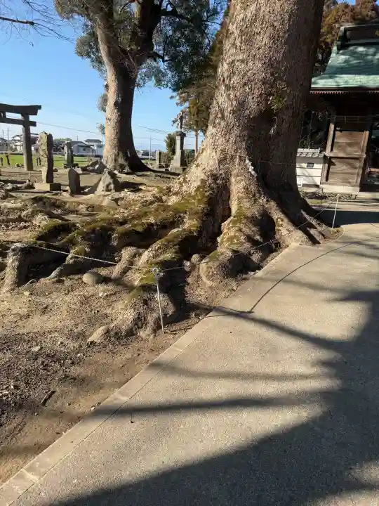 溝口竃門神社の{uncategorized: "未分類", other: "その他", undefined: "問題あり", building: "その他建物", grave: "お墓", sacred_gate: "鳥居", guardian: "狛犬", statue: "像", buddha: "仏像", history: "歴史", nature: "自然", garden: "庭園", animal: "動物", pagoda: "塔", temizu: "手水舎", mountain_gate: "山門・神門", sanctuary: "本殿・本堂", subordinate: "末社・摂社", art: "芸術", scenery: "景色", jizo: "地蔵", ema: "絵馬", goshuin: "御朱印", omikuji: "おみくじ", items: "授与品その他", amulet: "お守り", goshuincho: "御朱印帳", eats: "食事", festival: "お祭り", votive_dance: "神楽", shichigosan: "七五三参", wedding: "結婚式", experience: "体験その他", initially: "初詣", around: "周辺", anti_infection: "感染症対策"}