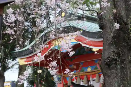 川越八幡宮の{uncategorized: "未分類", other: "その他", undefined: "問題あり", building: "その他建物", grave: "お墓", sacred_gate: "鳥居", guardian: "狛犬", statue: "像", buddha: "仏像", history: "歴史", nature: "自然", garden: "庭園", animal: "動物", pagoda: "塔", temizu: "手水舎", mountain_gate: "山門・神門", sanctuary: "本殿・本堂", subordinate: "末社・摂社", art: "芸術", scenery: "景色", jizo: "地蔵", ema: "絵馬", goshuin: "御朱印", omikuji: "おみくじ", items: "授与品その他", amulet: "お守り", goshuincho: "御朱印帳", eats: "食事", festival: "お祭り", votive_dance: "神楽", shichigosan: "七五三参", wedding: "結婚式", experience: "体験その他", initially: "初詣", around: "周辺", anti_infection: "感染症対策"}