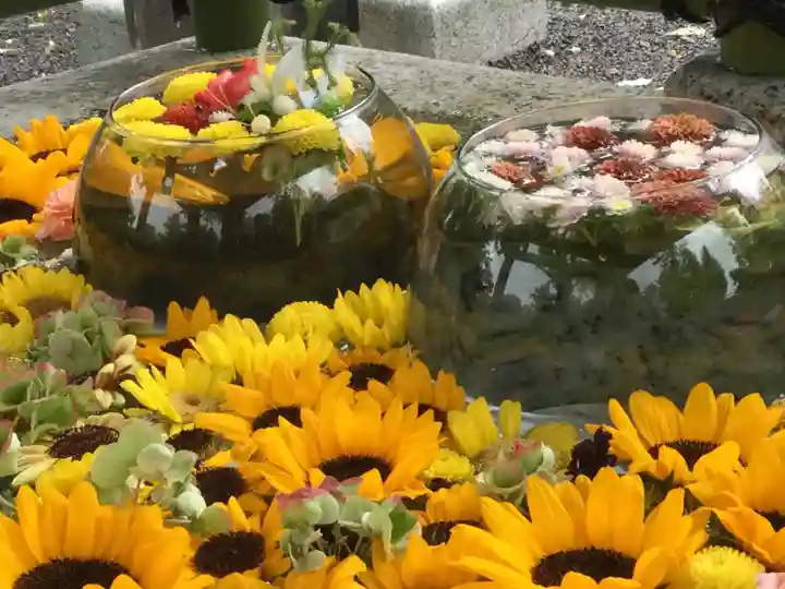 住吉神社の手水舎