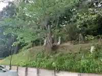 石合大師の自然